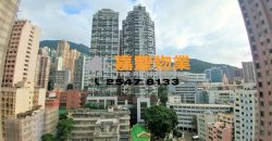 Yen Shun Mansion – High-rise Apt with Mountain View